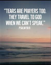 Image Result For Bible Quote For Travelling Bible Quotes Scripture Quotes Quotes About God