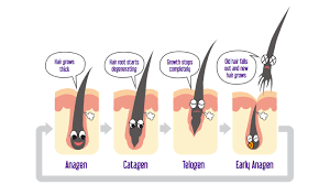 31150 s temecula pkwy, ste 104. Laser Hair Removal Newport Aesthetics By Dr Ann Mai Md 949 660 9972 Newport Beach California