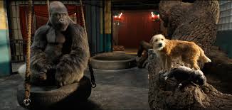 Upon his arrival, ivan was put into the care of b&i pet shop manager ruben. Review The One And Only Ivan Can T Escape That Never Changing Disney Formula Datebook