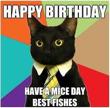 Dozens Of Hilarious Birthday Memes With Animals Business Cat Business Cat Meme Funny Cat Memes