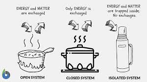 System Definition And Examples Biology Online Dictionary