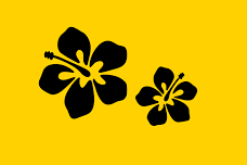 Hawaiian Luau Weekend - Canadian Civic Holiday