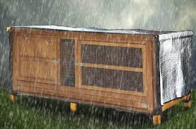 For most situations, we advise that your cavies spend most of their lives indoors. How To Keep Guinea Pigs Warm In Winter Or In Cold Weather