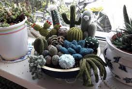 See more ideas about crochet cactus, cactus, crochet. I Crocheted My Own Cactus Garden Crochet