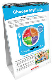 My Plate Food Groups Flip Chart Set Grades 5 9