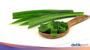 Aroma wangi daun padan juga menjadi salah satu daya tarik daun pandan disukai oleh masyarakat indonesia. 6 Manfaat Daun Pandan Untuk Kesehatan Yang Jarang Diketahui