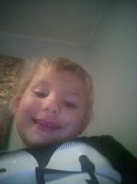 Lost gray kitten zipper bag