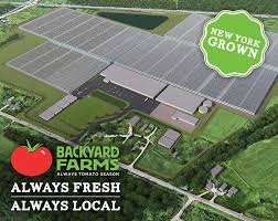 Wild boar farms offers some of the most outrageous tomato varieties available on the planet. Mastronardi Produce Sets Record With Latest Greenhouse Expansion In New York Greenhouse Grower