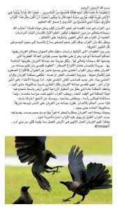 معلومات عن الغراب Animals Bird