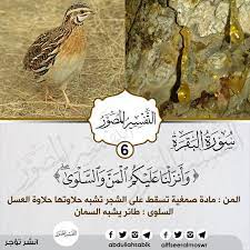 pin on التفسير المصور