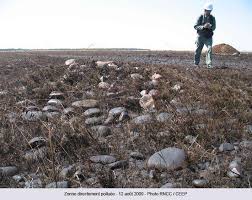 1 857 j'aime · 2 en parlent · 50 personnes étaient ici. Une Maree Noire Souterraine Dans Une Reserve Naturelle