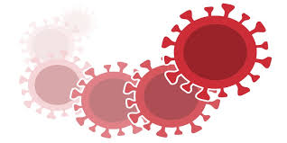 At the end of 2020, is of particular concern due to its increased transmissibility: New Covid Strain What To Know About B117 Variant In Texas Florida