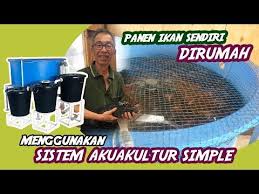 Hemat Air Dijamin Air Bening Terus Tidak Perlu Kuras Ternak Ikan Kolam Ikan Dan Filter Kolam Youtube Kolam Ikan Ikan Kolam