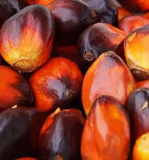 Akwu Ojukwu: The Powerful Igbo Knowledge Many People Still Don't Have || Nnewi City