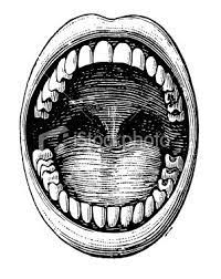 Antique Medical Illustration Depicting Open Mouth And Teeth Clip Art Vintage Teeth Illustration Moon Stars Art