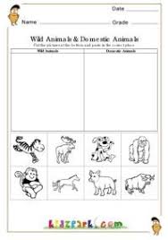 wild animals and domestic animals worksheets evs worksheets