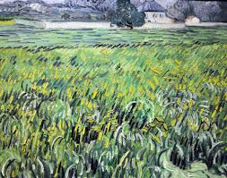 Vincent Van Gogh House At Auvers At The Phillips Collection Art Gallery Washington Dc Van Gogh Art Vincent Van Gogh Paintings Artist Van Gogh