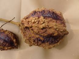 Image result for Carapa procera