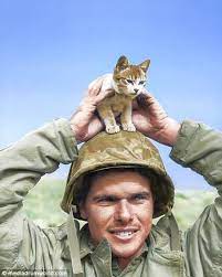 Remarkable Images Capture Lighter Side Of The Second World War Animals Cat People Men With Cats