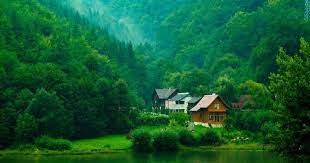 Background hd wallpapers best collection download for pc, desktop, laptop, mobile phone and tablet. 19 Desktop Nature Download Wallpapers 171 Nature Wallpaper Examples For Your Desktop Backgr Green Nature Wallpaper Nature Wallpaper Desktop Background Nature