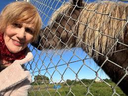 Weanlings looking for there forever homes pm me if your interested