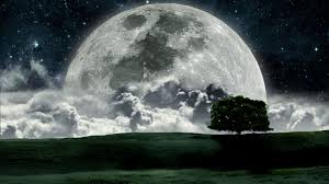 Enjoy and share your favorite beautiful hd wallpapers and background images. Amazing Moon Wallpaper 1920x1080 8257