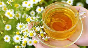Rebus air, aduk bersama kelopak chamomile dan biarkan mendidih. Redakan Nyeri Perut Saat Diare Dengan Teh Chamomile Beauty Fimela Com