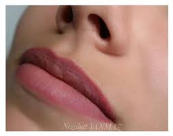 Precision Plus Permanent Makeup Microblade & Train Class