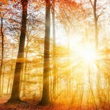 Toamna a început astăzi și la nivel astronomic, o dată cu echinocțiul înregistrat oficial luni, 23 septembrie 2019, la ora 10.50: Echinoctiu Kudika EchinocÈ›iul De PrimÄƒvarÄƒ Aduce SperanÈ›Äƒ In Sufletele Noastre Pe MÄƒsurÄƒ Ce Ne IndreptÄƒm Spre Un Nou Inceput