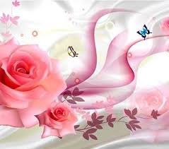 ورق جدران الدمام الخبر الجبيل 310 Photos In Home Service