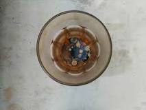 Image result