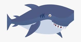 We did not find results for: Transparent Stock Shark Images Cute Free To Use Public Shark Clipart Png Png Image Transparent Png Free Download On Seekpng