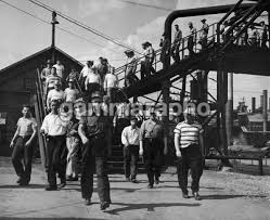 William Watanabe (zardunk1)