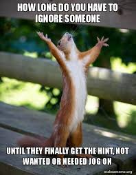 How Long Do You Have To Ignore Someone Until They Finally Get The Hint Not Wanted Or Needed Jog On Happy Squirrel Make A Meme