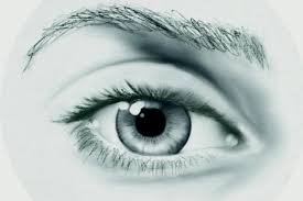 50 Best Photoshop Tutorials From 2020 Creative Nerdscreative Nerds The tool is available in the.