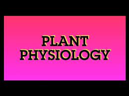 What is plant physiology definition. Plant Physiology What Is Plant Physiology Definition Of Plant Physiology Youtube