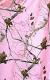 Mossy Oak Pink Camo