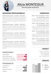 Epingle Par Arlette Donnay Sur Modele Powerpoint Gratuit En 2020 Exemple Cv Cv Manager Cv Lettre De Motivation