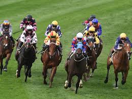 Biggest Quaddie since Adam was a boy! Almost