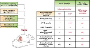 Thu, october 14 2021 8 cheshvan 5782. Unlocking The Gates To Inflammatory Bowel Disease The Role Of Enterococcus Faecalis Gelatinase Gastroenterology