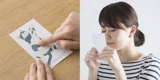 Once you're done making your stickers, you can use them in any way you want. Japanese Company Creates Scratch And Sniff Cards That Smell Like The Bellies Of Cats And Dogs Soranews24 Japan News