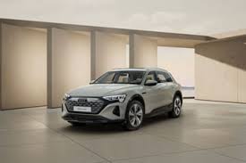 Image result for Siam Beige 2020 Audi