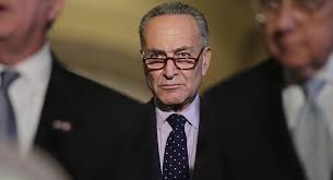 Image result for chuck schumer at supreme court