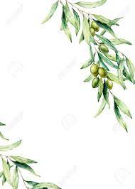 Watercolor Card With Olive Tree Branch Green Olives And Leaves Hand Painted Floral Illustration Olive Tree Tattoos Olive Tree Painting Olive Tattoo