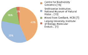 Image result for Strephonema mannii