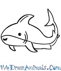 How To Draw A Cute Shark See it was easier than you have thought. how to draw a cute shark
