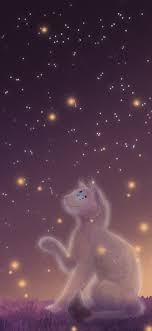 Star Gazing Warrior Cats Warrior Cats Art Warrior Cats Books