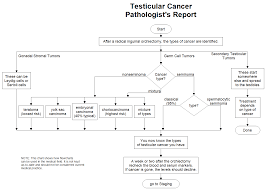 Seminoma and nonseminomatous germ cell tumors (nsgct). Testicular Cancer Pathology Report