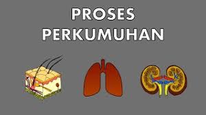 Check spelling or type a new query. Sains Tahun 4 Perkumuhan Cikgootube Cikguzoul Youtube