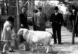 Ebru Dogan Adli Kullanicinin Ataturk Panosundaki Pin Tarih Ormanlar Fotograf